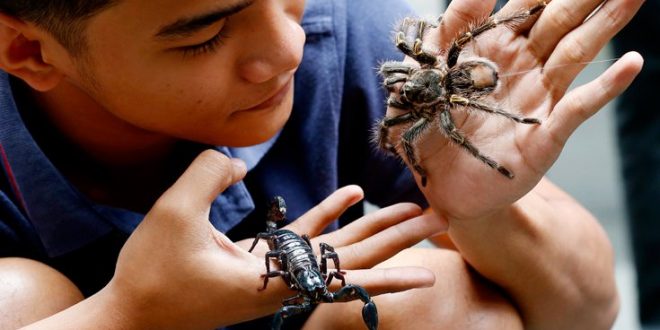 Αν φοβάστε τις αράχνες, μάλλον φταίνε… οι γονείς σας