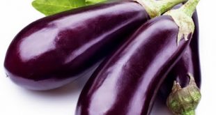 Μελιτζάνα και η διατροφική της αξία