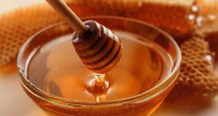 Τρία στα τέσσερα μέλια σε όλο τον κόσμο περιέχουν νεοκοτινοειδή φυτοφάρμακα