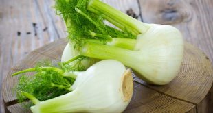 Ανακαλύψτε τη θρεπτική του αξία του φινόκιου