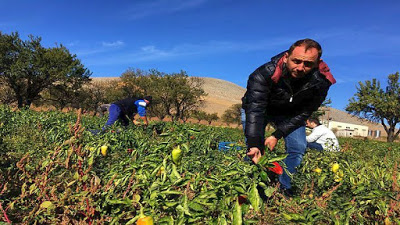 Η πιπεριά Φλωρίνης και οι συνταγές της γιαγιάς κατακτούν τα καλύτερα delicatessen του κόσμου