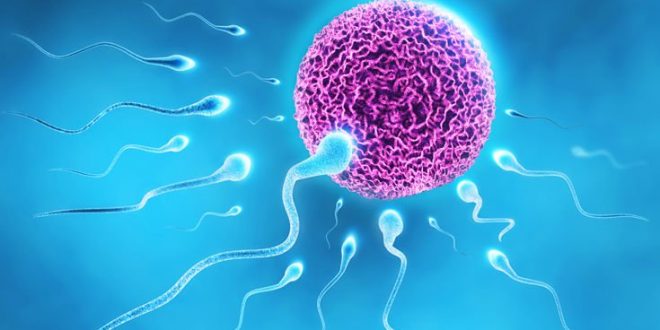 Η ρύπανση κάνει κακό στο σπέρμα