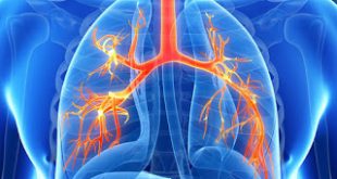 Ο ρόλος της Φυσικοθεραπείας στη Χρόνια Αποφρακτική Πνευμονοπάθεια