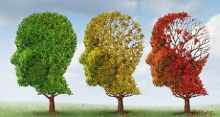 Η ανώτερη μόρφωση αποτελεί ανάχωμα στη νόσο Αλτσχάιμερ