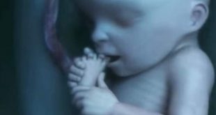 Η ζωή του μωρού μέσα στην κοιλιά -Η πορεία 9 μηνών στη μήτρα μέσα σε μόλις 4’ [βίντεο]