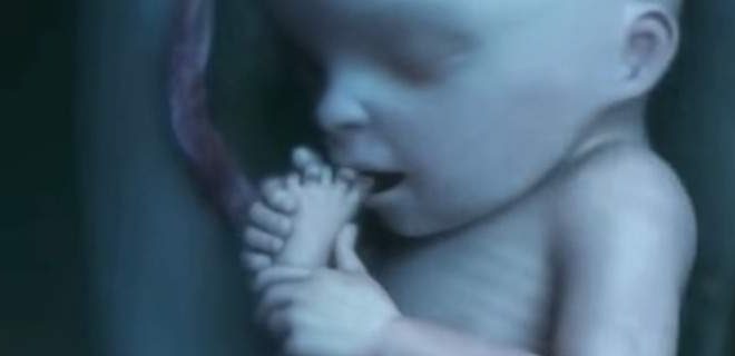 Η ζωή του μωρού μέσα στην κοιλιά -Η πορεία 9 μηνών στη μήτρα μέσα σε μόλις 4’ [βίντεο]