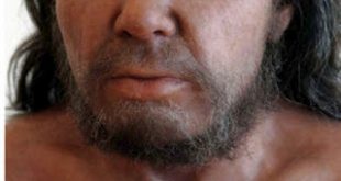 Οι παραμυθάδες έπαιξαν ζωτικό ρόλο στο «δέσιμο» των αρχαίων κοινωνιών