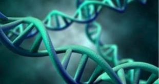 To DNA μεσαιωνικής μούμιας παιδιού αποκάλυψε ότι είχε ηπατίτιδα Β