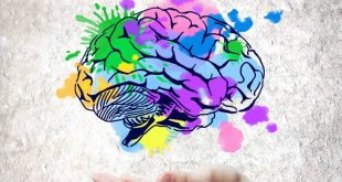 Η δημιουργικότητα έχει το «αποτύπωμά» της στον εγκέφαλο