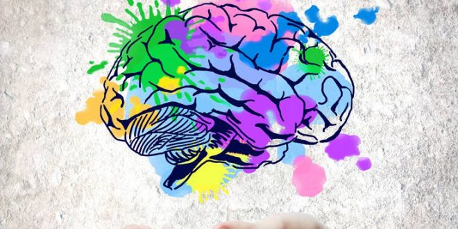 Η δημιουργικότητα έχει το «αποτύπωμά» της στον εγκέφαλο