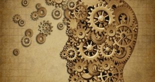 Η σύνταξη βλάπτει σοβαρά την μνήμη