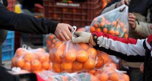 Περιφέρεια Αττικής: Ξεκινά το νέο πρόγραμμα στήριξης ευπαθών κοινωνικών ομάδων με είδη λαϊκών αγορών