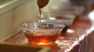 Η βιώσιμη οικολογική μελισσοκομική παραγωγή σε ημερίδα για τον «επιχειρηματία μελισσοκόμο» στην Άνδρο