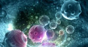 Τα πρώτα αντικαρκινικά νανορομπότ που καταστρέφουν τους όγκους στερώντας τους το αίμα