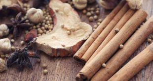 Το βότανο που ενισχύει το ανοσοποιητικό, μειώνει το στρες και προλαμβάνει τον καρκίνο