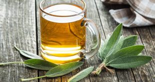 Τοξικούς κινδύνους κρύβει το φασκόμηλο