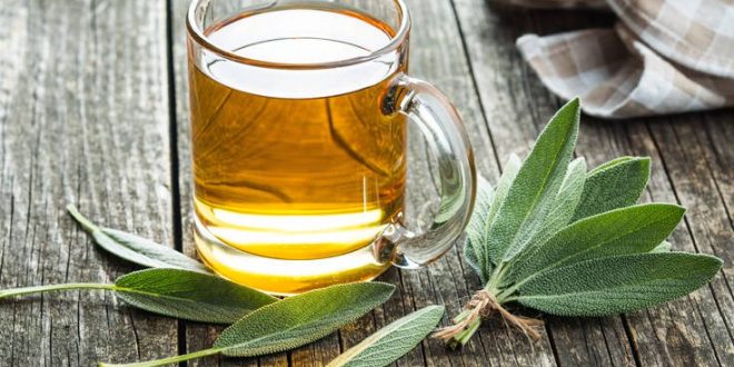 Τοξικούς κινδύνους κρύβει το φασκόμηλο