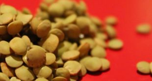 Φακές, ένα όσπριο με υψηλή διατροφική αξία