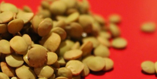 Φακές, ένα όσπριο με υψηλή διατροφική αξία