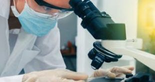 Ανακαλύφθηκε, με ελληνική συμμετοχή, ένα νέο «αόρατο» όργανο στο ανθρώπινο σώμα