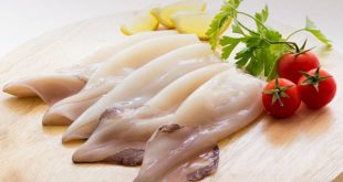 Η διατροφική αξία της σουπιάς