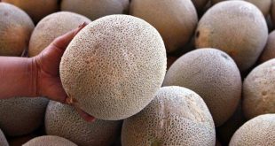 Ξέσπασμα λιστερίωσης με τρεις νεκρούς στην Αυστραλία