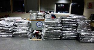 ΣΔΟΕ: Αυτούς θα ελέγξει φέτος