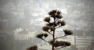 Τι πρέπει να προσέξουμε λόγω της αφρικανικής σκόνης