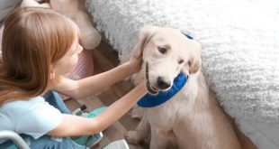 Πώς οι σκύλοι-βοηθοί αλλάζουν ζωές παιδιών με αναπηρίες