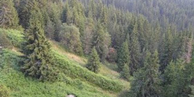 Πολλαπλές μεταβολές θα προκαλέσει στην χώρα η κλιματική αλλαγή