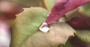 Όταν η Τέχνη θεραπεύει, η θεραπεία γίνεται Τέχνη! Εκθεση με έργα αποθεραπευμένων από τον καρκίνο