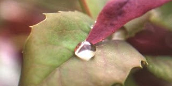 Όταν η Τέχνη θεραπεύει, η θεραπεία γίνεται Τέχνη! Εκθεση με έργα αποθεραπευμένων από τον καρκίνο