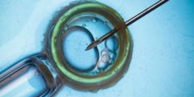Βραβείο Αριστείας στην Αικατερίνη Χατζημελετίου, με την πρώτη παγκοσμίως κυτταροσκελετική ανάλυση ανθρώπινων εμβρύων