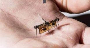 Πέταξε το πρώτο ασύρματο ρομποτικό έντομο