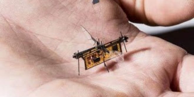 Πέταξε το πρώτο ασύρματο ρομποτικό έντομο