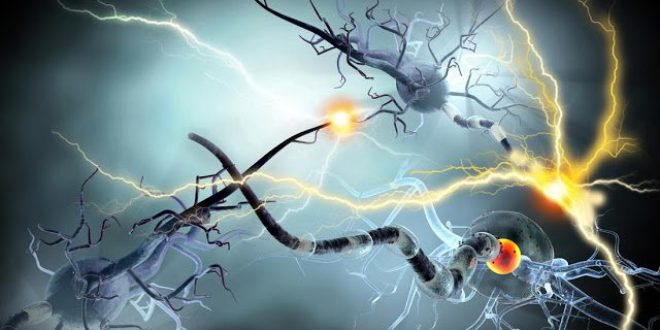 Φάρμακο της Novartis είναι αποτελεσματικό ως προς την αναπηρία και τη νοητική λειτουργία σε ασθενείς με πολλαπλή σκλήρυνση (ΠΣ)