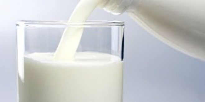 «Λευκός χρυσός» για την υγεία του ανθρώπου το γάλα