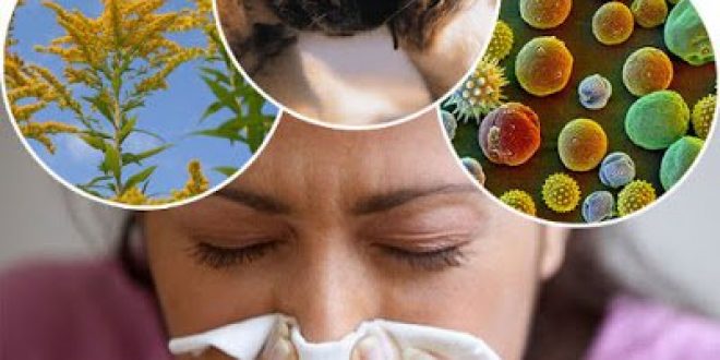 Αλλεργία. Ποιος ο μηχανισμός δράσης; Τι είναι και πώς μπορεί να αντιμετωπιστούν οι αλλεργίες; Υπάρχει τρόπος πρόληψης;