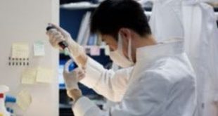 Γονιδιακή θεραπεία θεράπευσε την παράλυση σε πειραματόζωα