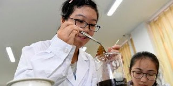 Ερευνητές ανακάλυψαν ότι κάποια βακτήρια μπορεί να απομακρύνουν τοξικά χημικά στοιχεία από το νερό