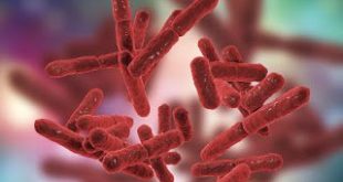 Οι επιστήμονες χαρτογράφησαν τον γενετικό κώδικα 3.000 επικίνδυνων βακτηρίων