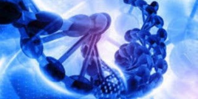 Πόσα γονίδια έχει ο άνθρωπος; Σύμφωνα με την τελευταία «απογραφή» είναι 21.306