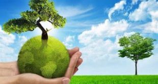 Το Μουσείο Ζωολογίας του ΕΚΠΑ συμμετέχει στην Παγκόσμια Ημέρα Περιβάλλοντος