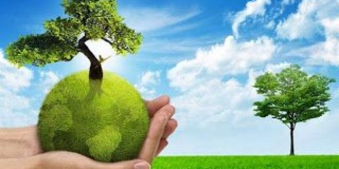 Το Μουσείο Ζωολογίας του ΕΚΠΑ συμμετέχει στην Παγκόσμια Ημέρα Περιβάλλοντος