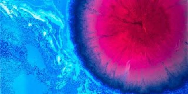 «Επιστήμη χωρίς σύνορα», Athens Science Festival 2018, Ο ρόλος των γυναικών στην επιστήμη