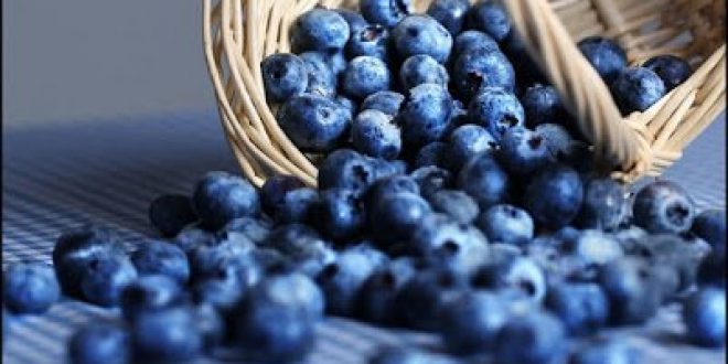 Μύρτιλα (Vaccinium myrtillus) και άγρια μύρτιλα (bilberries) super foods για μεταβολικό σύνδρομο, παχυσαρκία, διαβήτη, καρδιά, καρκίνο, μάτια, αντιγήρανση