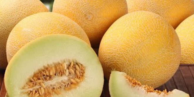 Πεπόνι, φρούτο που δεν παχαίνει, έχει αντιπηκτικές ιδιότητες, πλούσιο σε αντιοξειδωτικά και ιχνοστοιχεία, βοηθά στο αδυνάτισμα